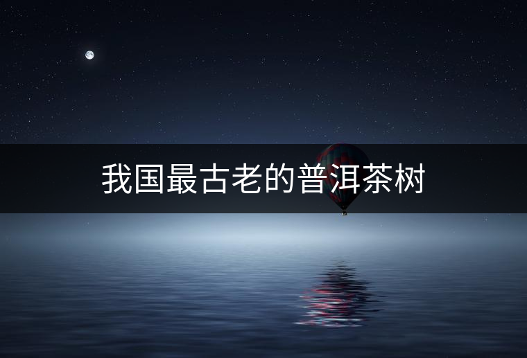 我國(guó)最古老的普洱茶樹