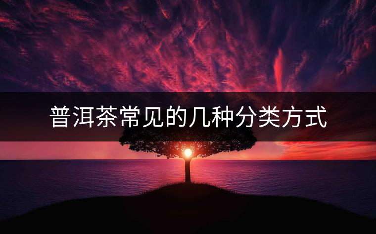 普洱茶常見(jiàn)的幾種分類方式