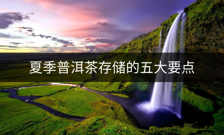 夏季普洱茶存儲的五大要點(diǎn)