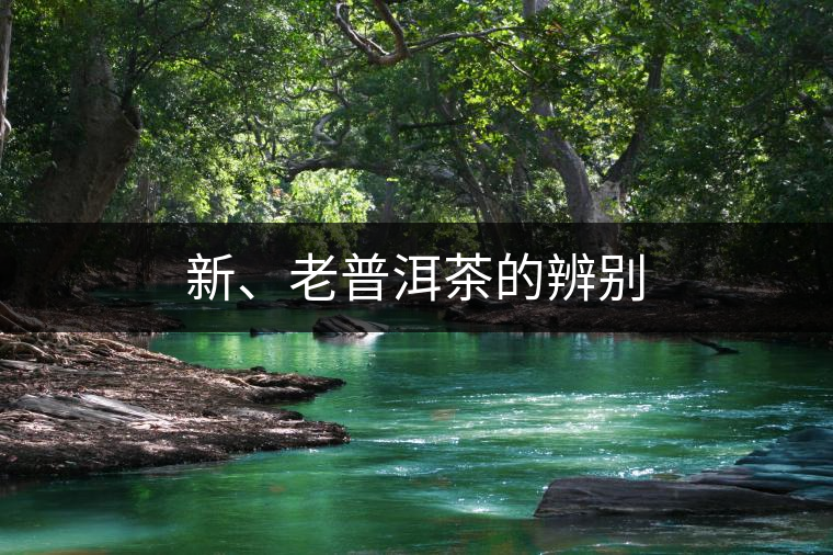 新、老普洱茶的辨別