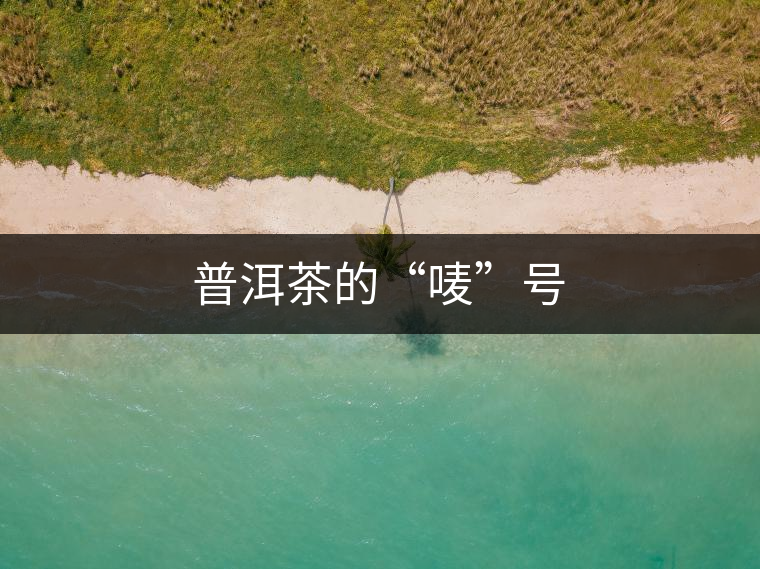 普洱茶的“嘜”號(hào) 普洱茶的“嘜”號(hào)
