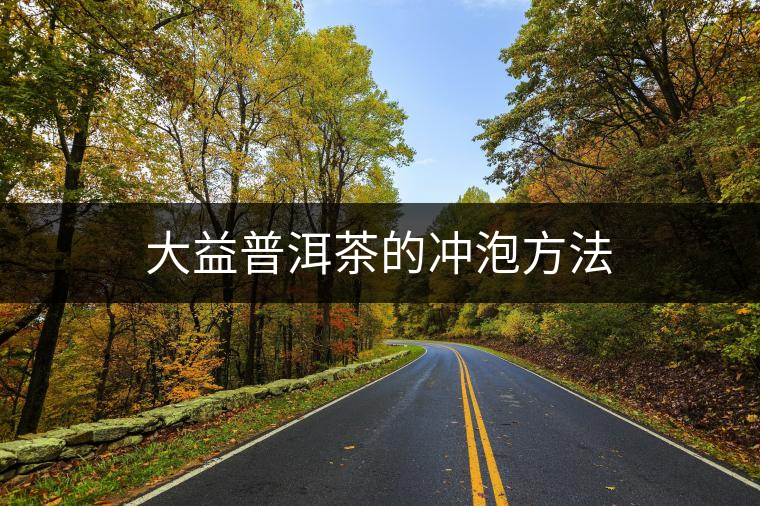 大益普洱茶的沖泡方法 大益普洱茶的沖泡方法
