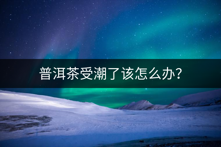 普洱茶受潮了該怎么辦？