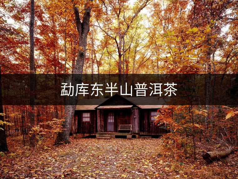 勐庫東半山普洱茶 勐庫東半山普洱茶