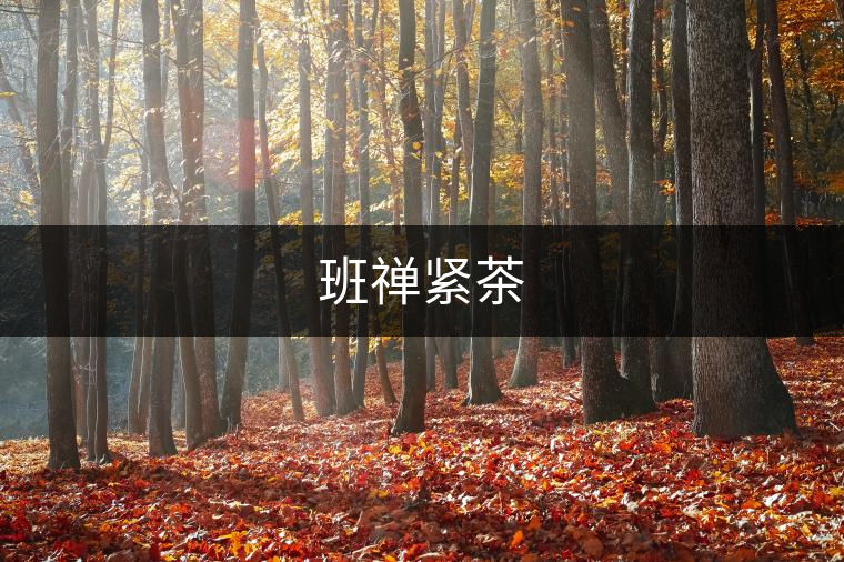 班禪緊茶 班禪緊茶