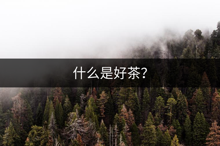 什么是好茶？