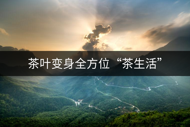 茶葉變身全方位“茶生活”