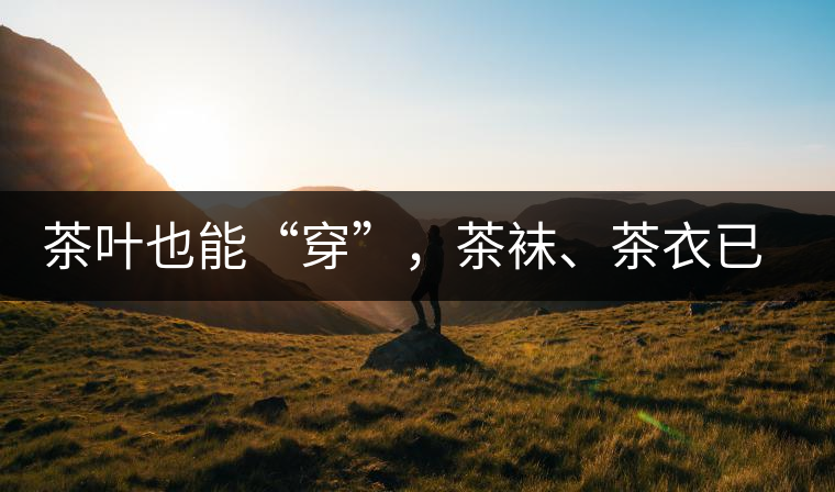 茶葉也能“穿”，茶襪、茶衣已進(jìn)入研發(fā)階段