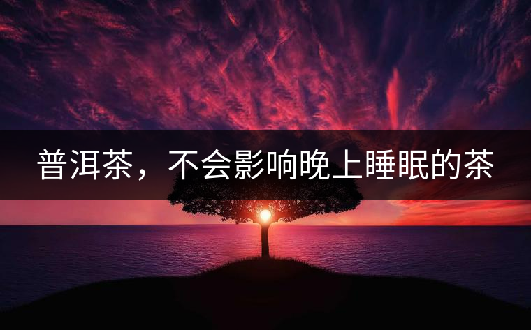 普洱茶，不會影響晚上睡眠的茶