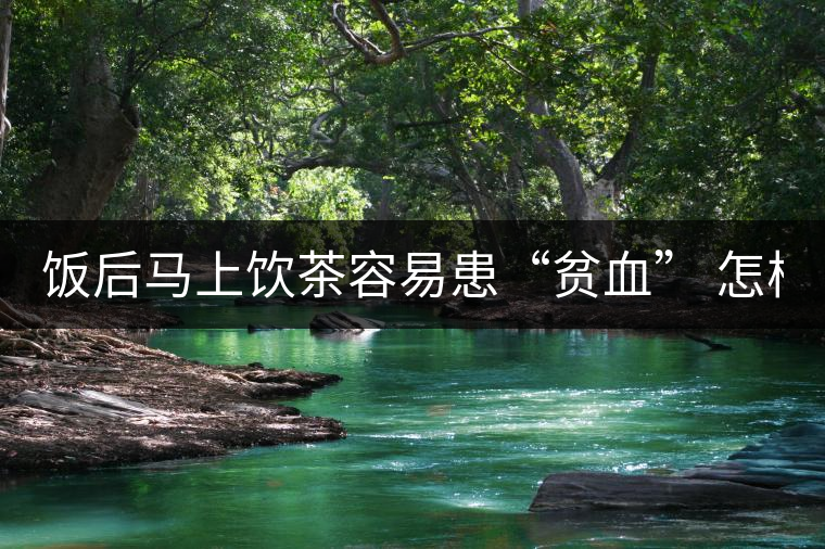 飯后馬上飲茶容易患“貧血” 怎樣飲用才合適 ？