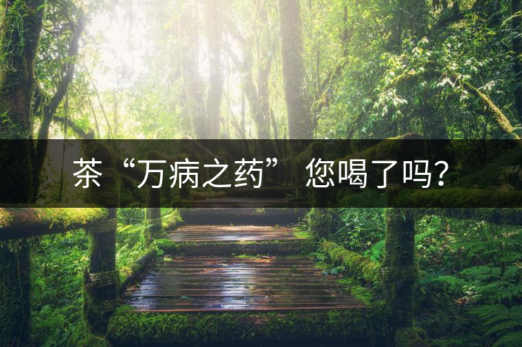 茶“萬病之藥” 您喝了嗎？