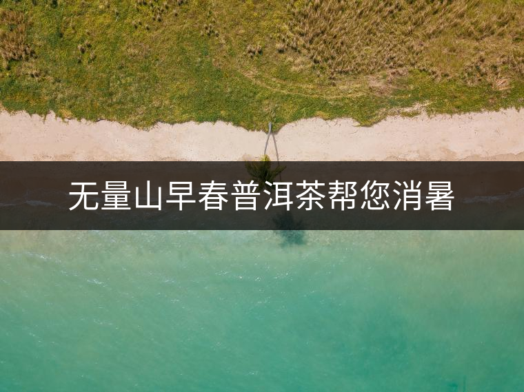 無量山早春普洱茶幫您消暑