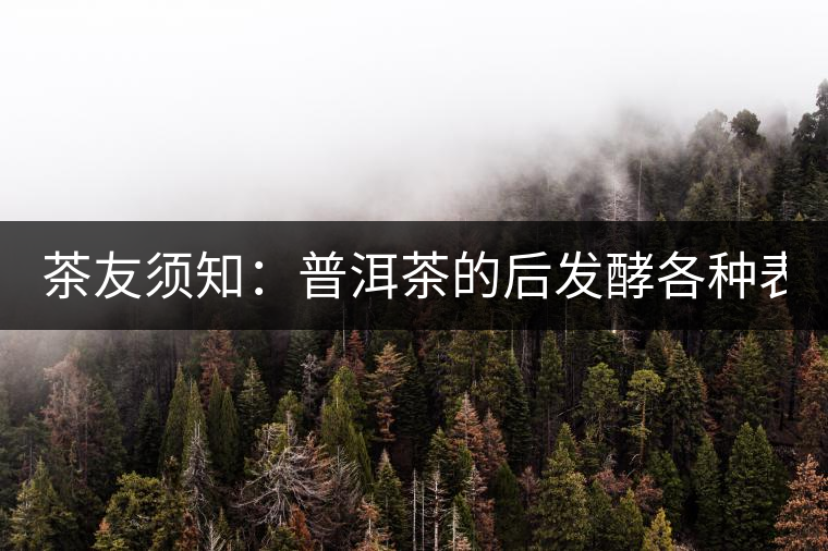 茶友須知：普洱茶的后發(fā)酵各種表現(xiàn) 喝普洱有益健康的奧妙所在！