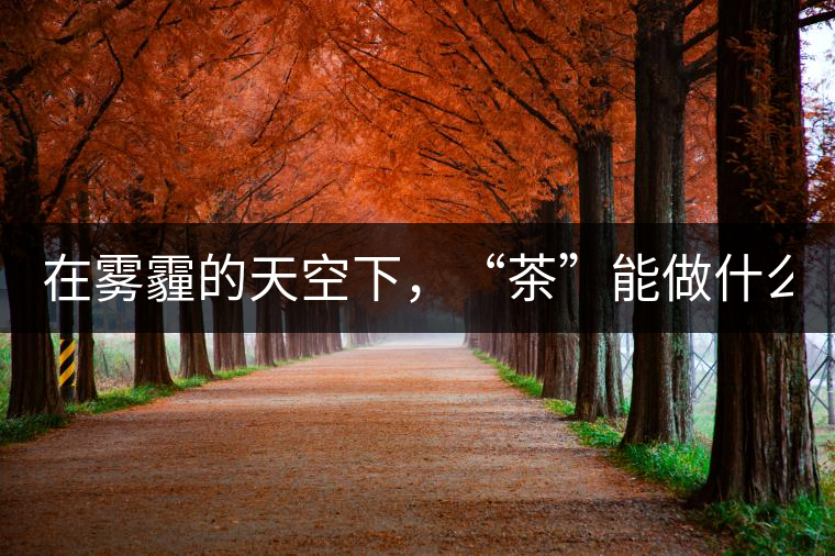在霧霾的天空下，“茶”能做什么？