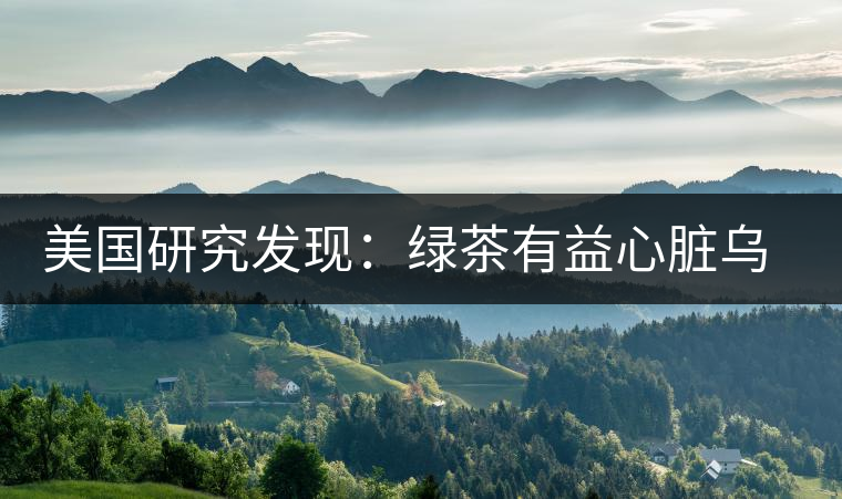 美國研究發(fā)現(xiàn)：綠茶有益心臟烏龍茶瘦腰身