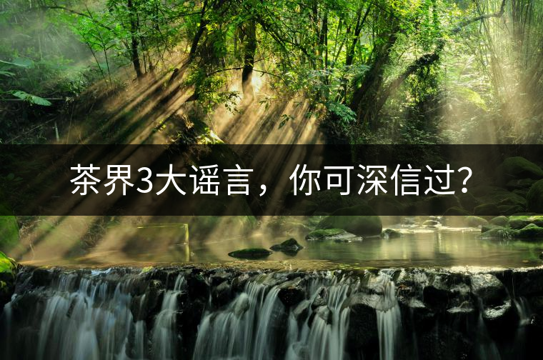 茶界3大謠言，你可深信過？