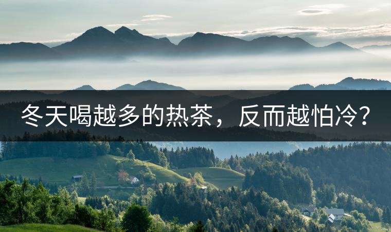冬天喝越多的熱茶，反而越怕冷？