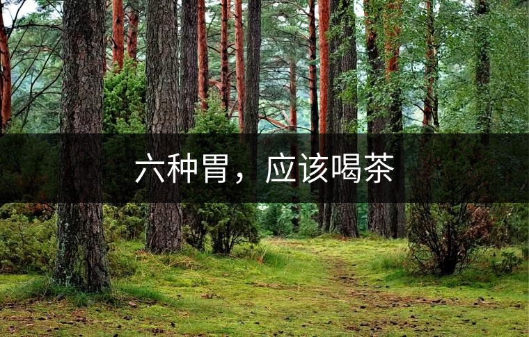 六種胃，應(yīng)該喝茶