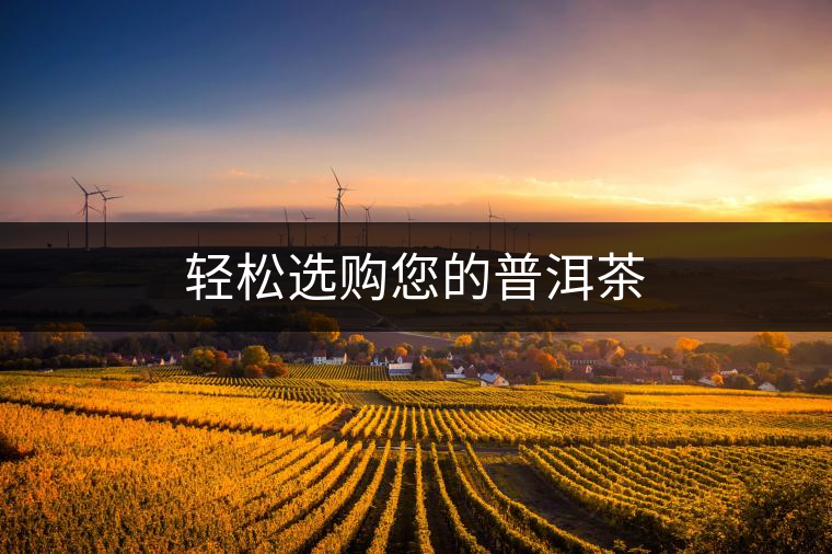 輕松選購(gòu)您的普洱茶 輕松選購(gòu)您的普洱茶