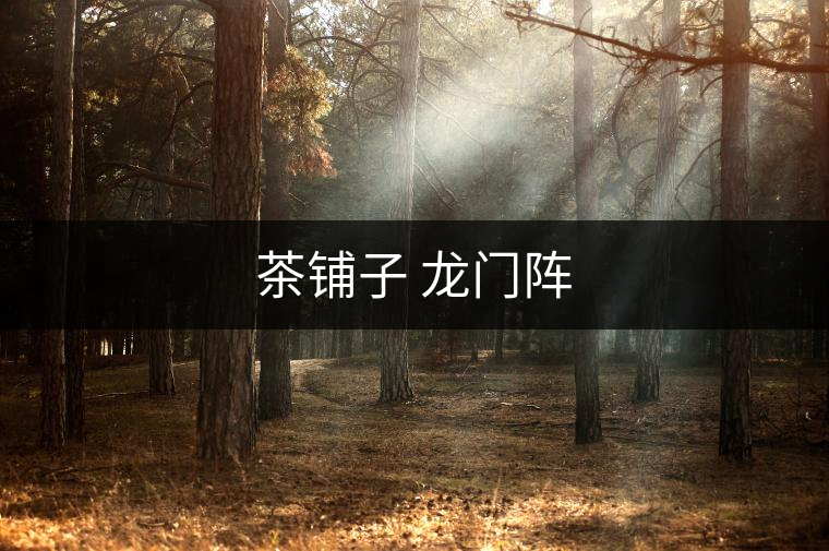 茶鋪?zhàn)?龍門(mén)陣 茶鋪?zhàn)?龍門(mén)陣