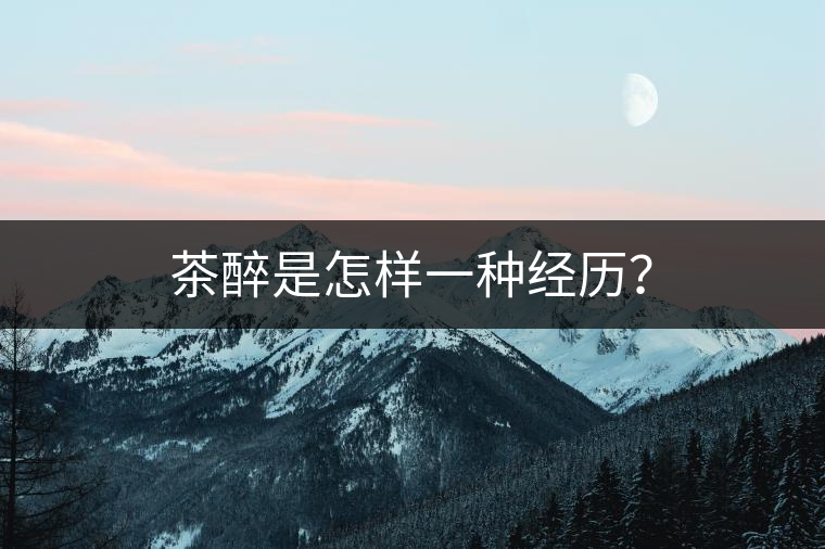 茶醉是怎樣一種經(jīng)歷？