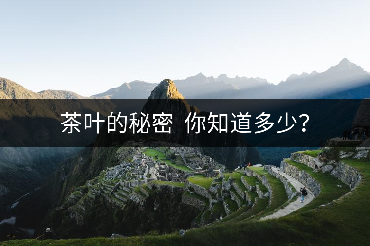 茶葉的秘密  你知道多少？