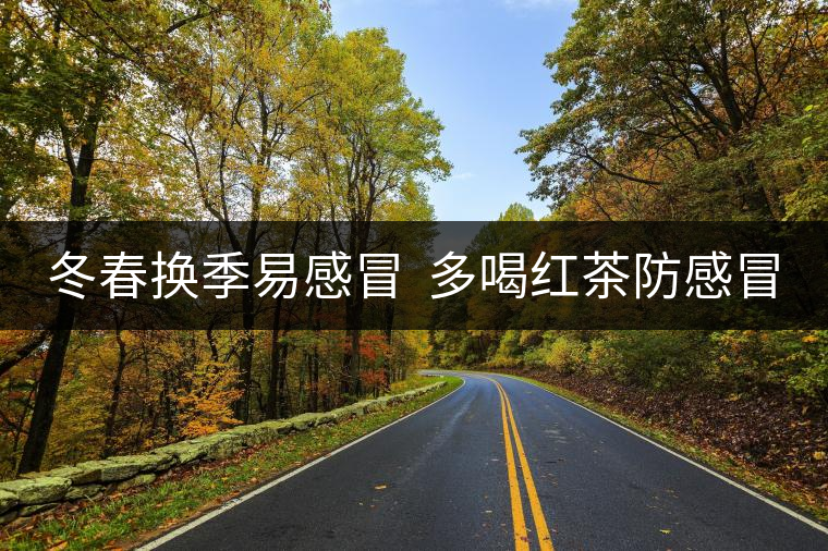 冬春換季易感冒  多喝紅茶防感冒