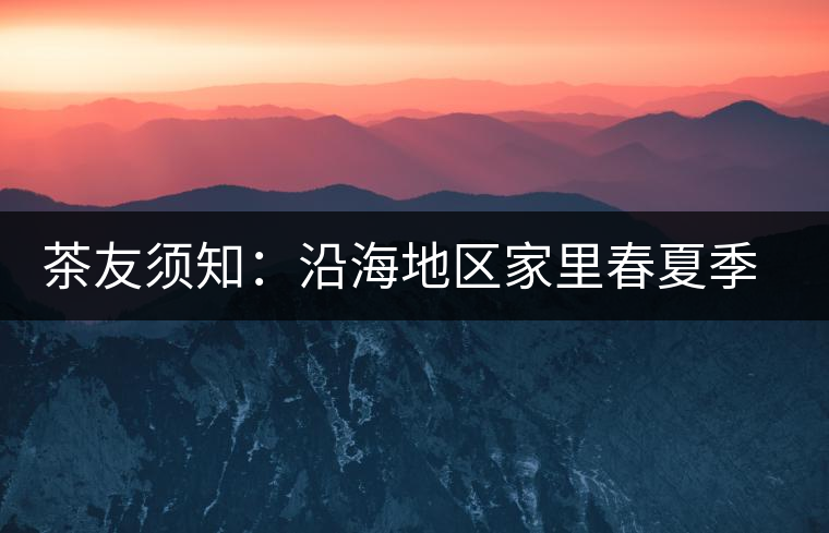 茶友須知：沿海地區(qū)家里春夏季節(jié)如何存儲普洱茶?