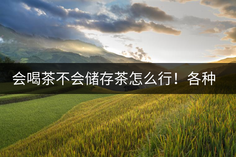 會(huì)喝茶不會(huì)儲(chǔ)存茶怎么行！各種存茶方法與技巧，把茶香留住