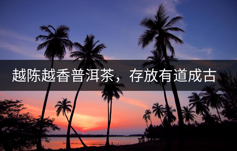 越陳越香普洱茶，存放有道成古董