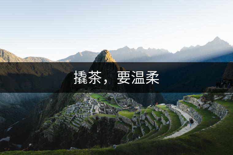 撬茶，要溫柔