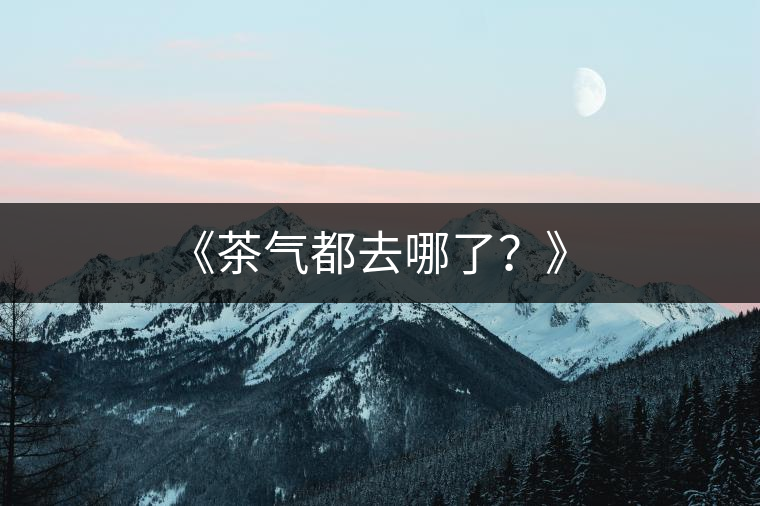 《茶氣都去哪了？》