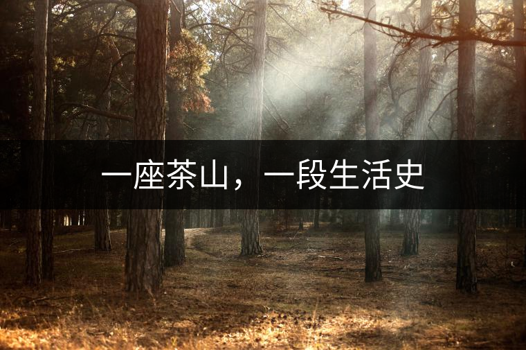 一座茶山，一段生活史
