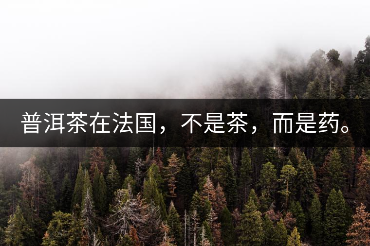 普洱茶在法國(guó)，不是茶，而是藥。