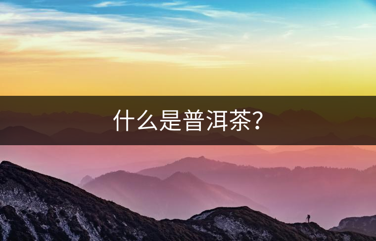 什么是普洱茶？
