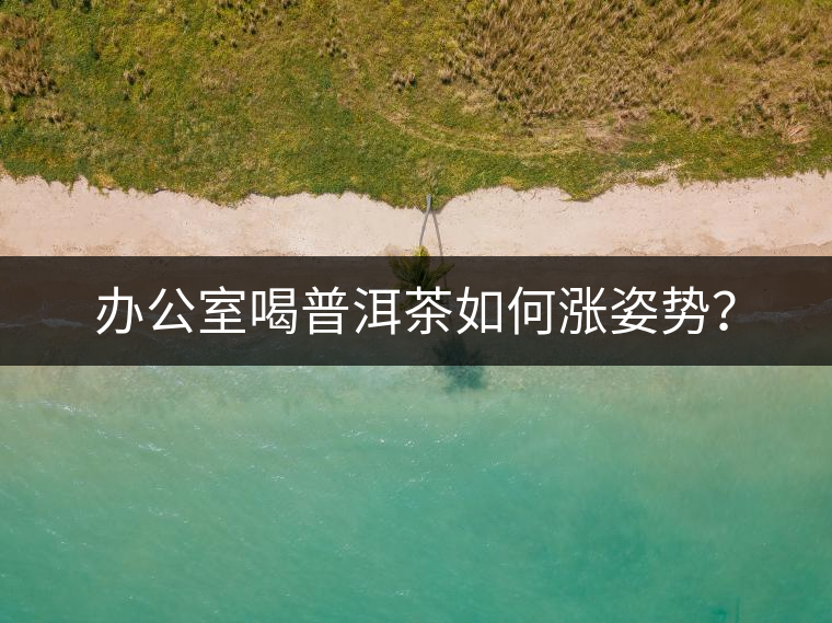 辦公室喝普洱茶如何漲姿勢(shì)？