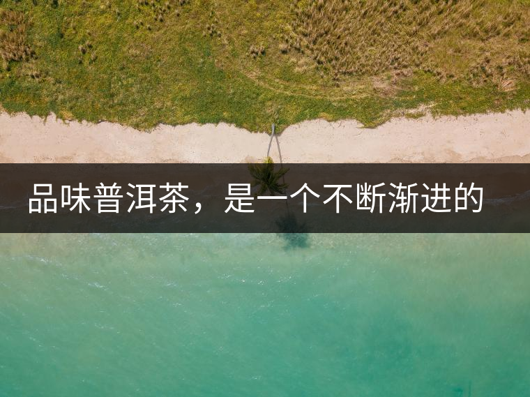 品味普洱茶，是一個(gè)不斷漸進(jìn)的過(guò)程