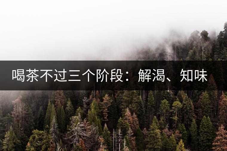 喝茶不過三個(gè)階段：解渴、知味、怡情