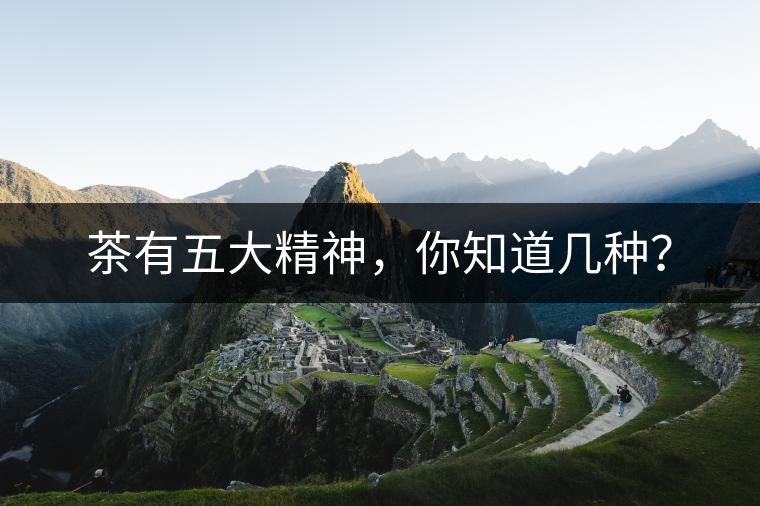 茶有五大精神，你知道幾種？