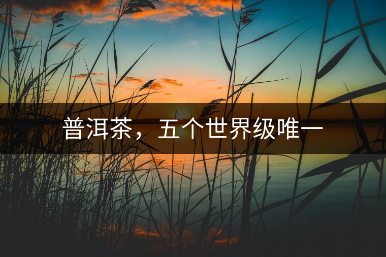 普洱茶，五個(gè)世界級(jí)唯一