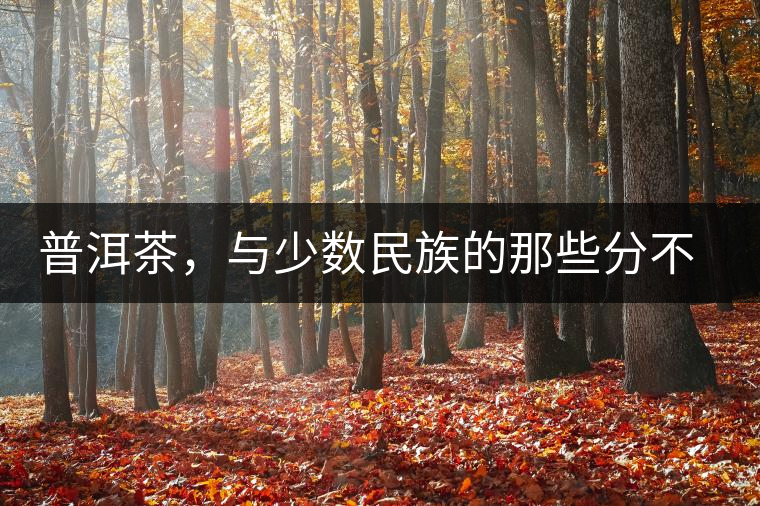 普洱茶，與少數(shù)民族的那些分不開(kāi)的情愫