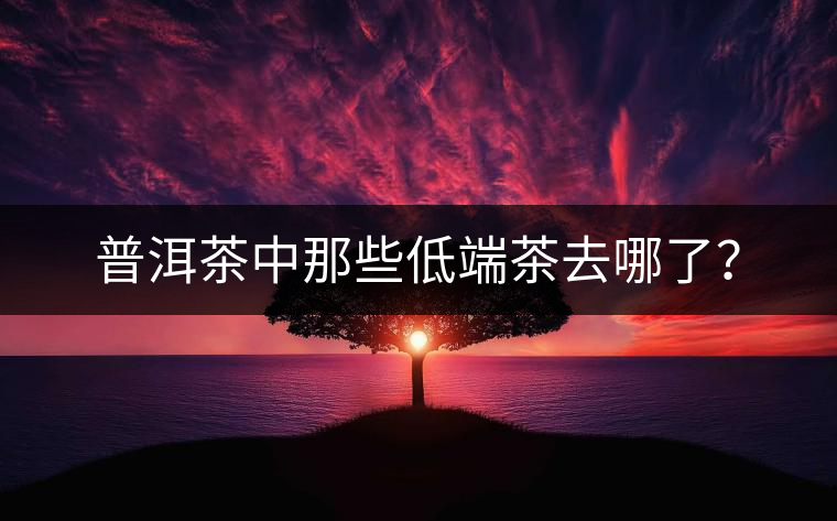 普洱茶中那些低端茶去哪了？
