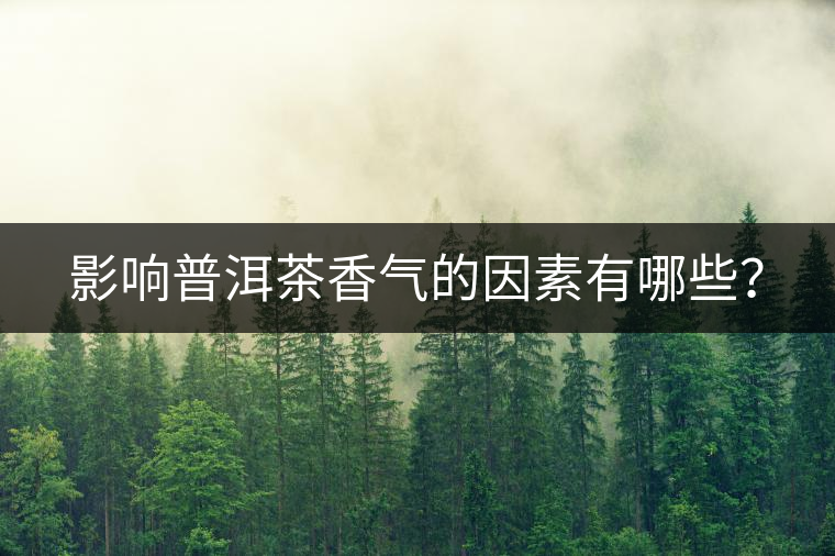 影響普洱茶香氣的因素有哪些？