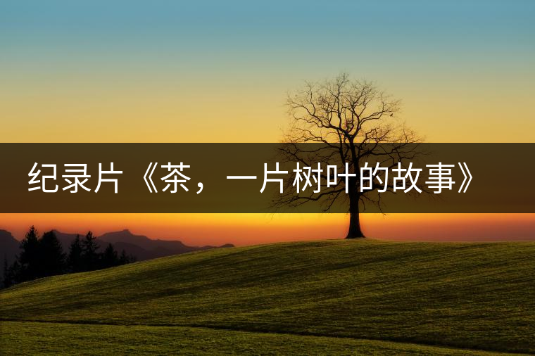 紀(jì)錄片《茶，一片樹葉的故事》 茶文化的詩(shī)意追尋