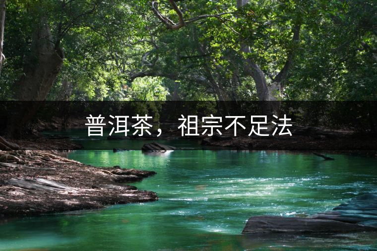 普洱茶，祖宗不足法