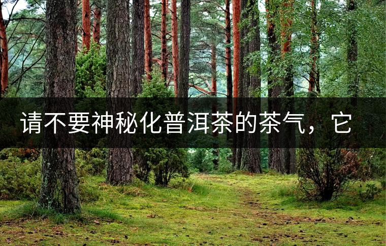 請(qǐng)不要神秘化普洱茶的茶氣，它是科學(xué)的存在