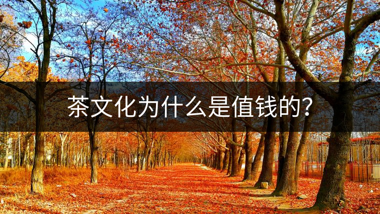 茶文化為什么是值錢的？