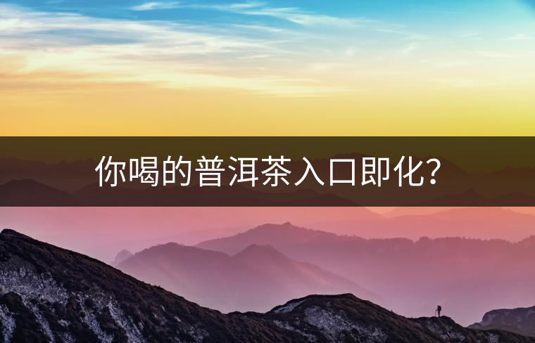 你喝的普洱茶入口即化？