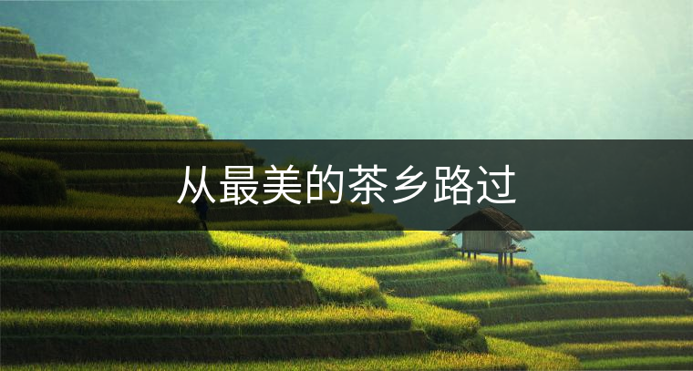 從最美的茶鄉(xiāng)路過(guò)
