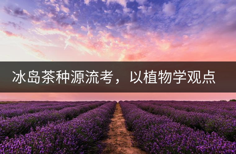 冰島茶種源流考，以植物學(xué)觀點解讀冰島茶